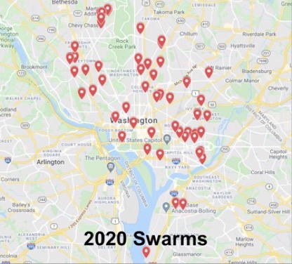 locations of swarms managed by the DCBA Swarm Squad in 2020