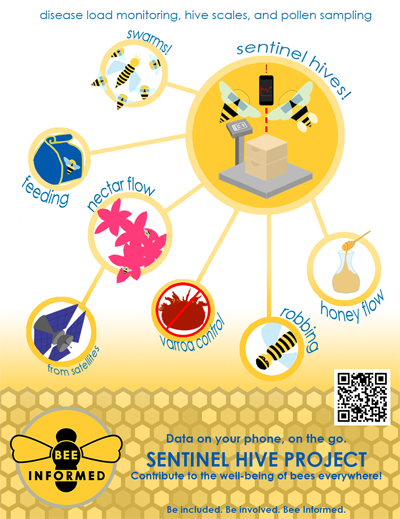 flyer explaining how sentinel hives work